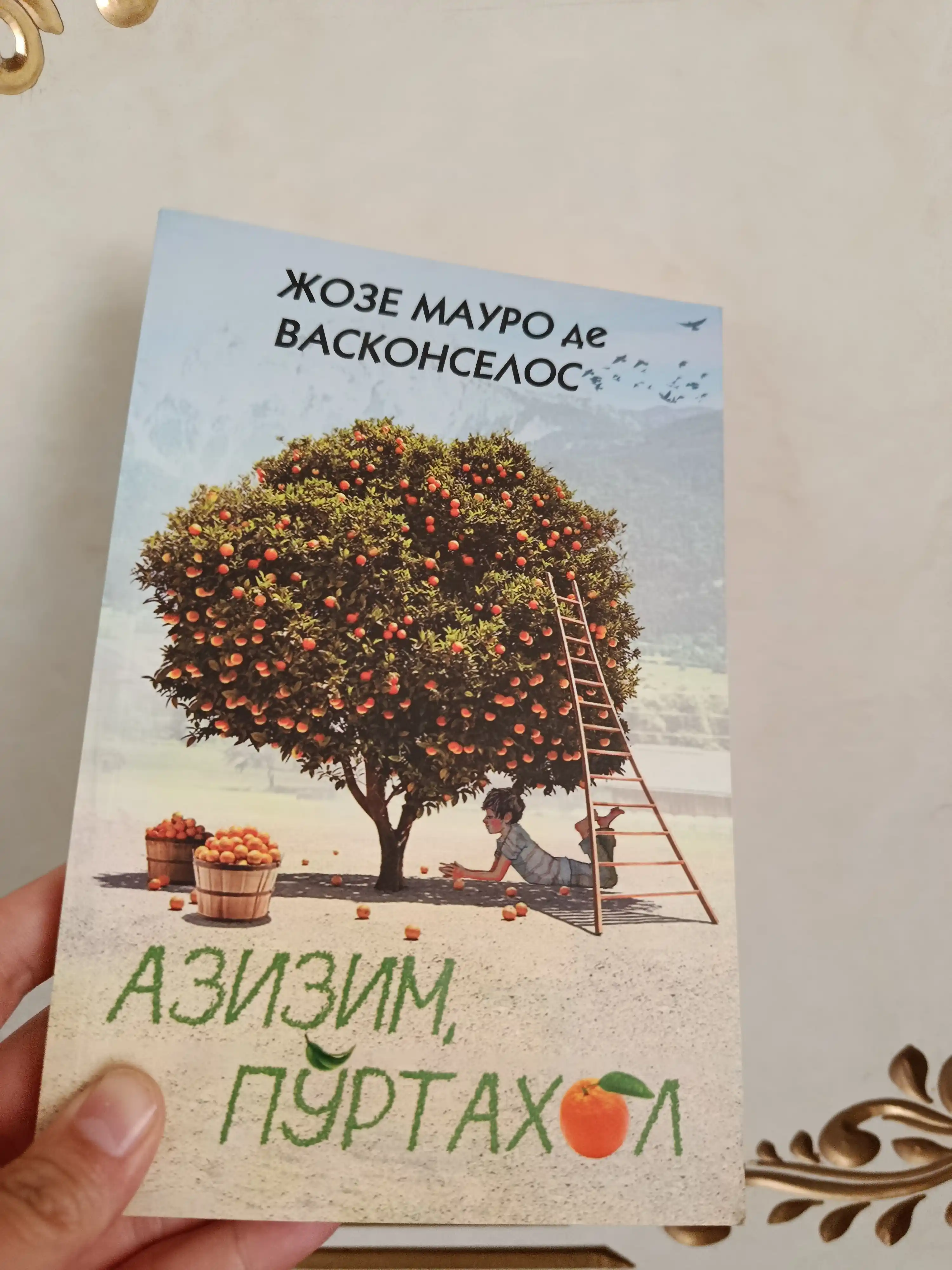 Жозе Мауро де Васконселос, Азизим, пўртахол