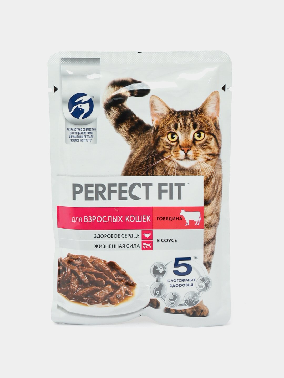 Mini yubka va paypoqda jinsiy aloqa