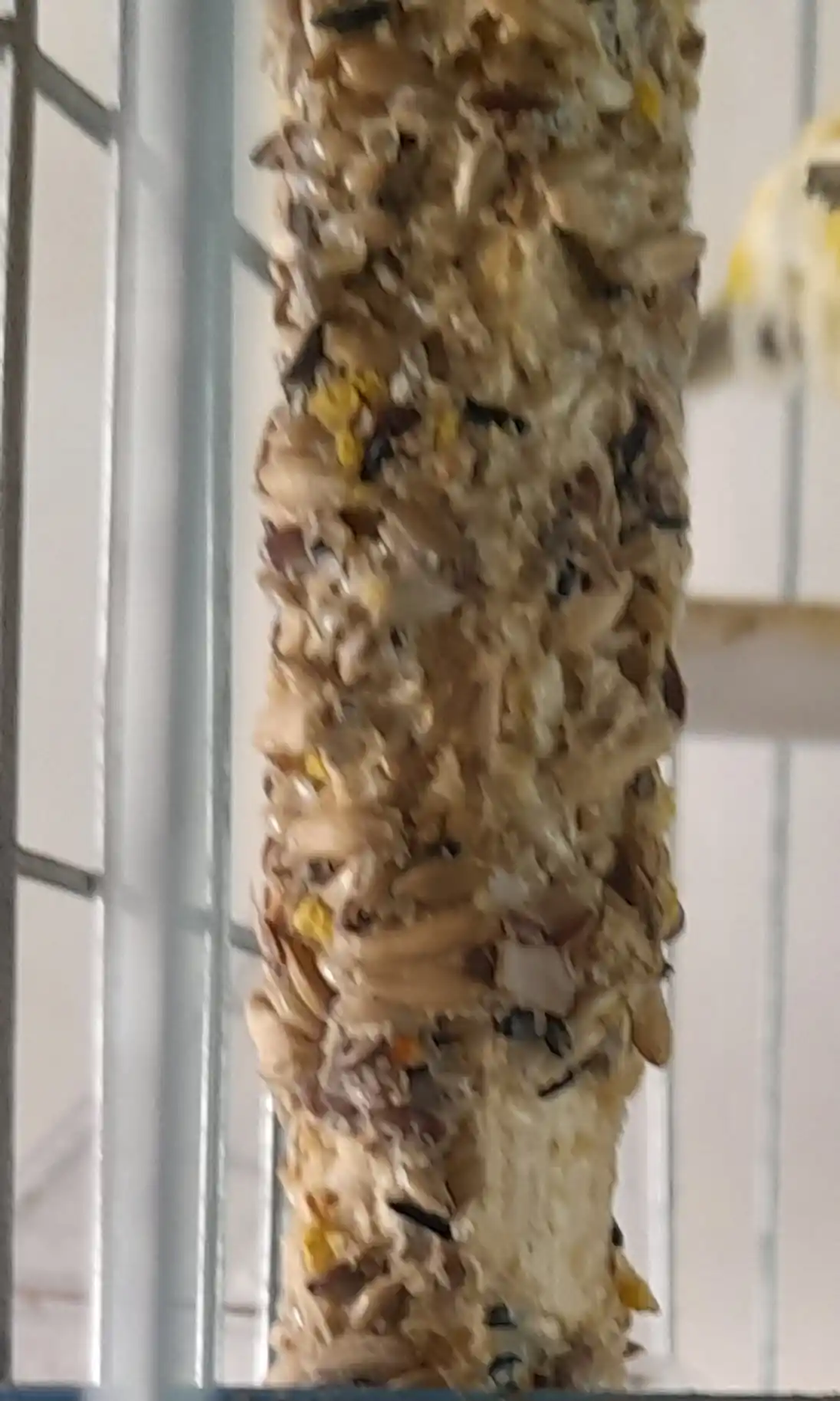 Asal va foydali urug'lar bilan kanareyka uchun tayoqchalari Rio, 2 * 40 g