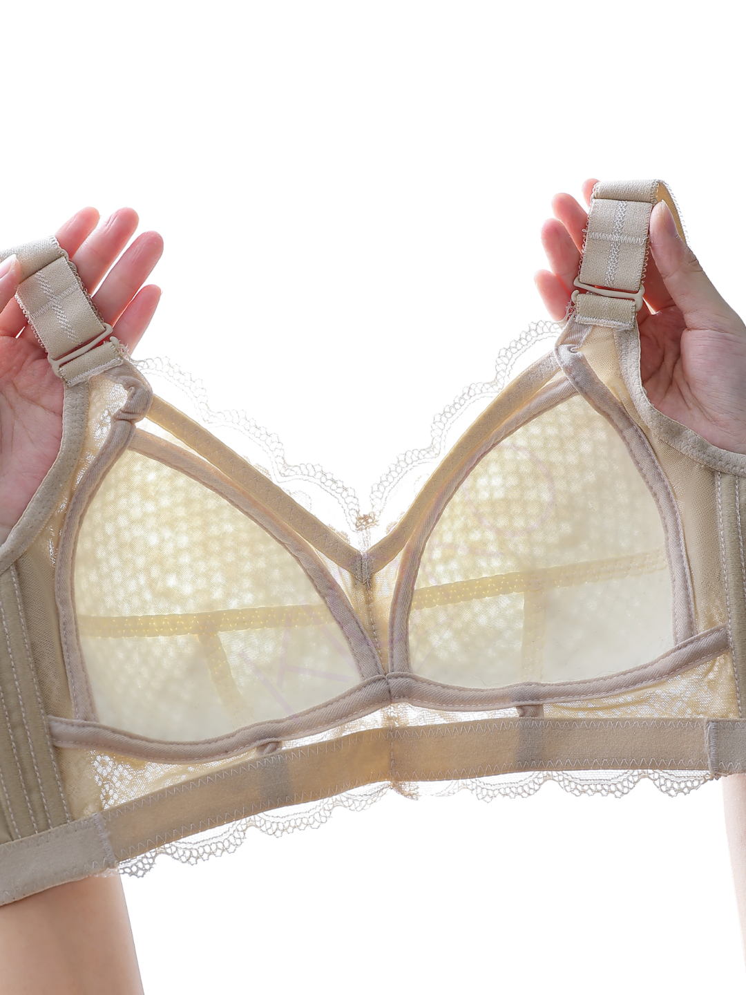 Ayolning mushuki bor