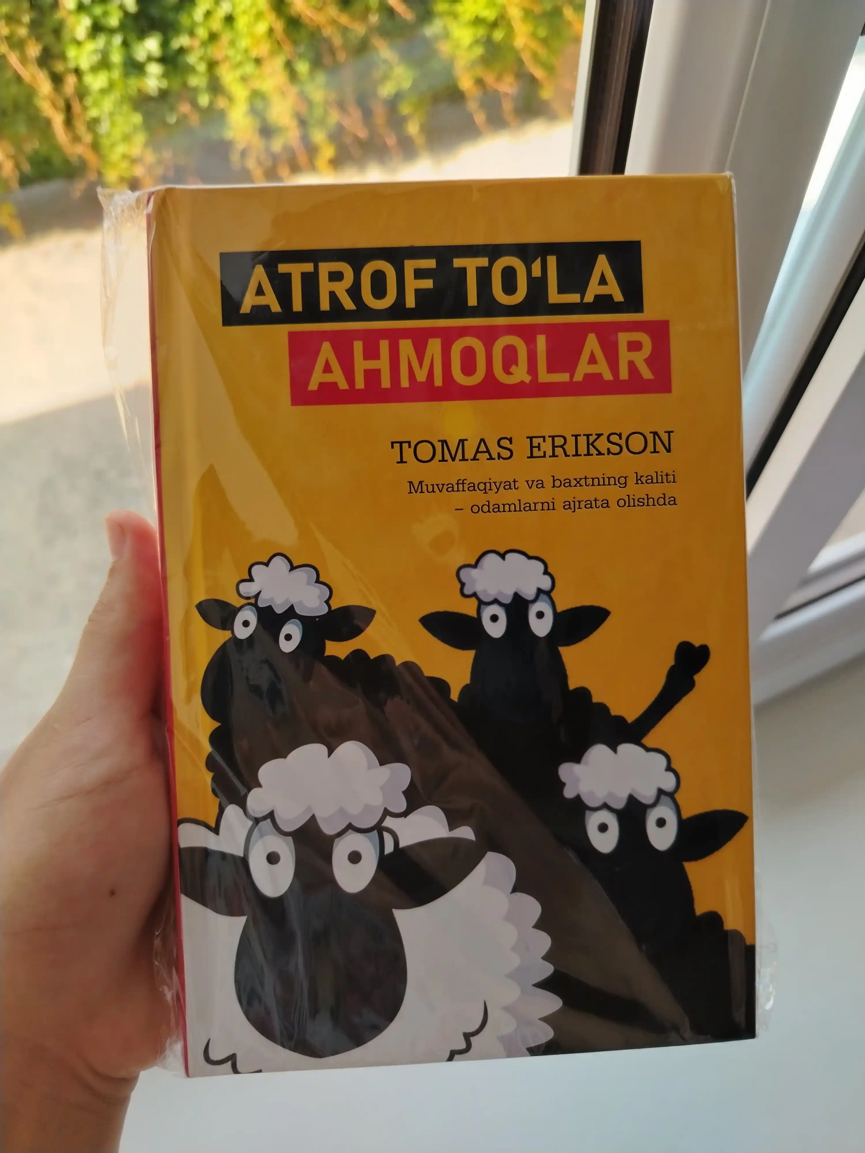 Atrof to'la ahmoqlar - Tomas Erikson