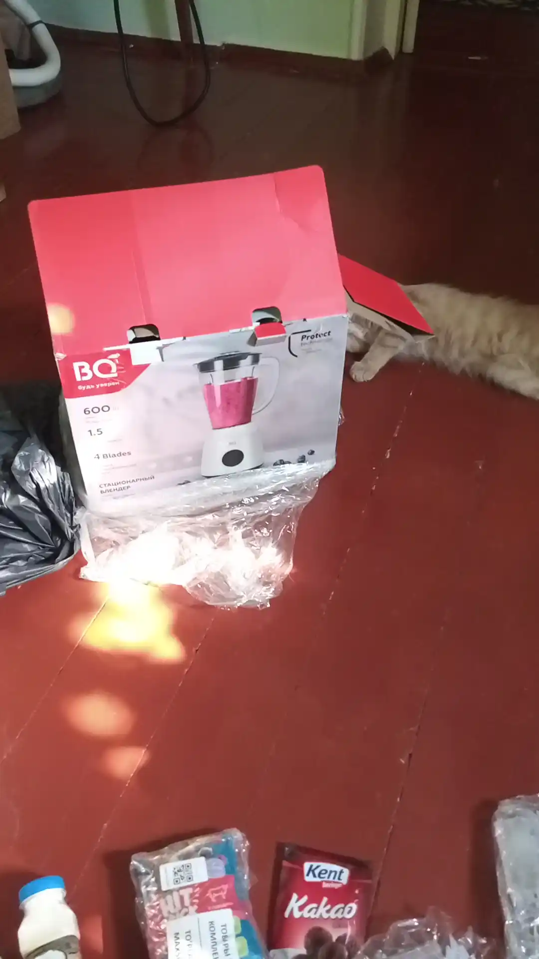 Statsionar blender BQ SB1003 2 tezlik darajasi 23000 ayl/daq gacha, impulsli rejim, 600 Vt