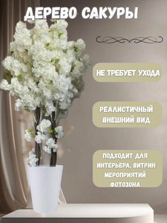 Manzarali sakura daraxti