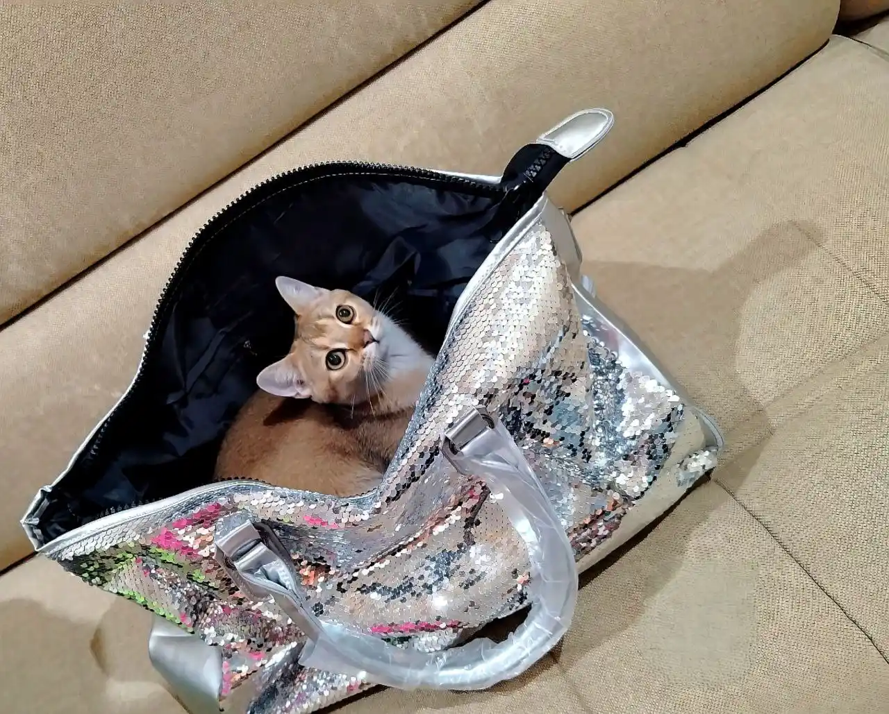 Ayollar sumkalari, yelka orqali, yozda, shopper