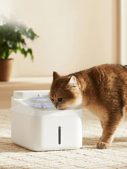 Betsi Keyt porno filmda