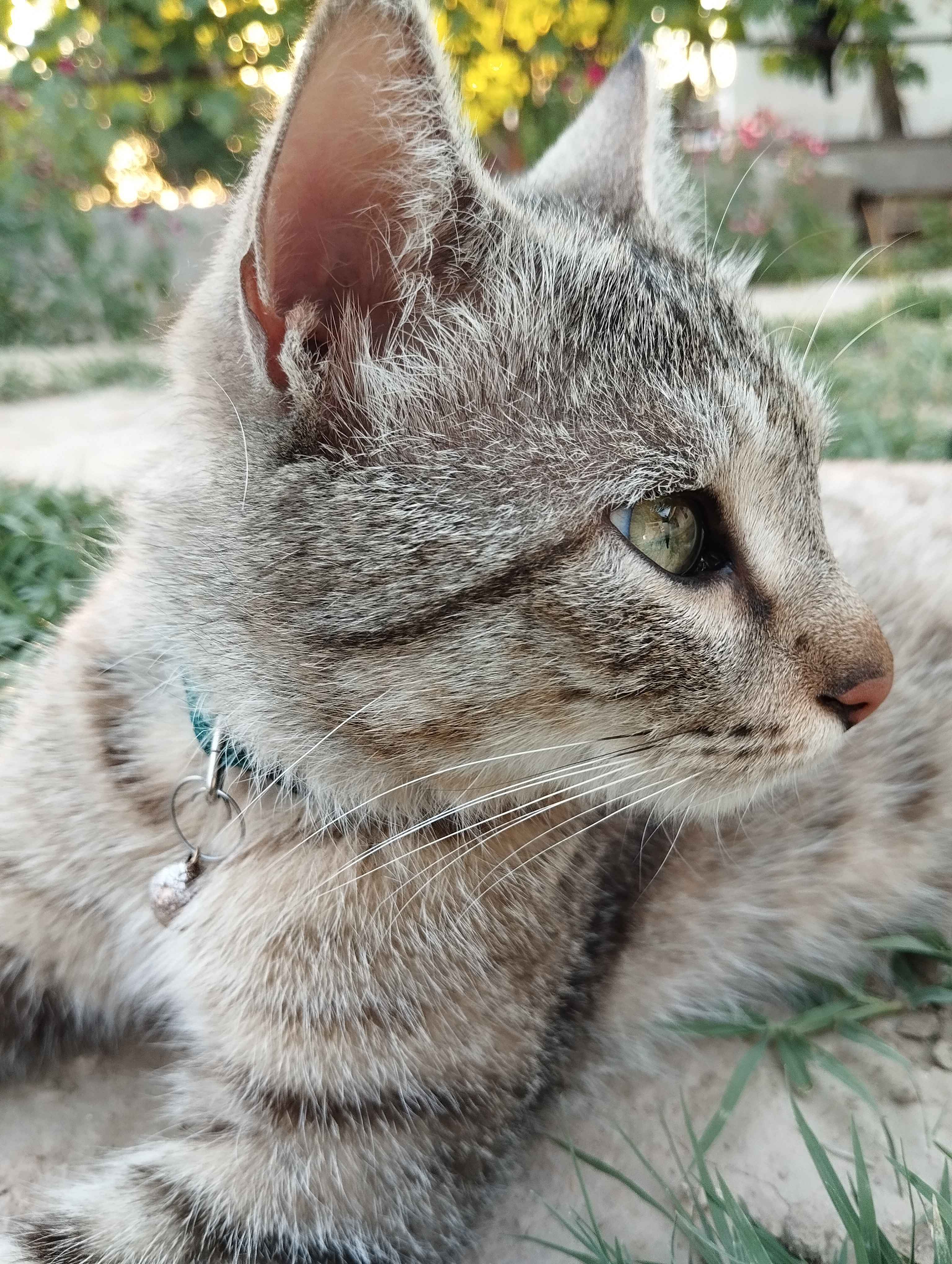 Gey porno video: ogiz va eshak becerdin Yalangoch fohishalarning suratlari