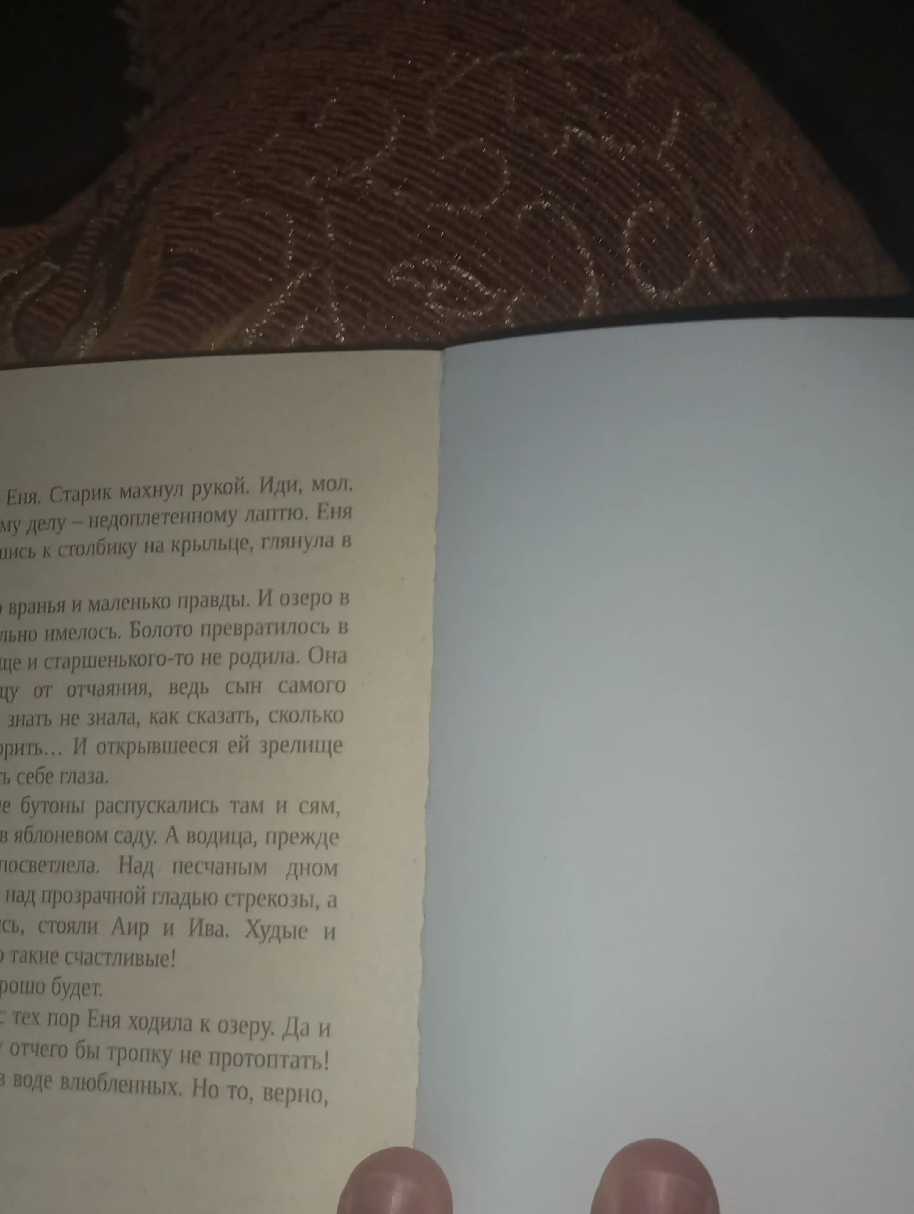 Даха Тараторина Аир. Хозяин болота