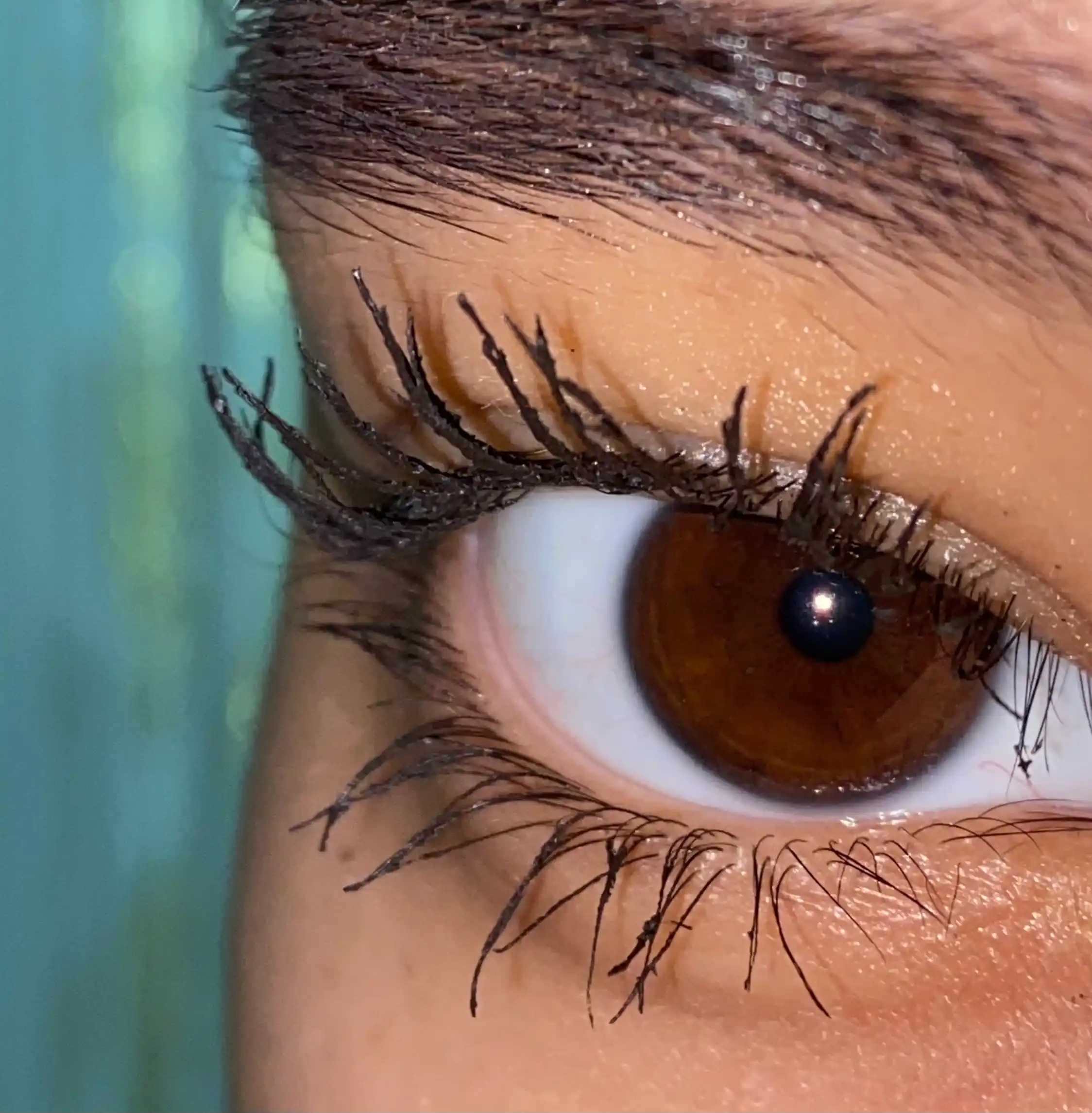 Kipriklar uchun tush Volume Million Lashes Panorama, to'q-jigarrang
