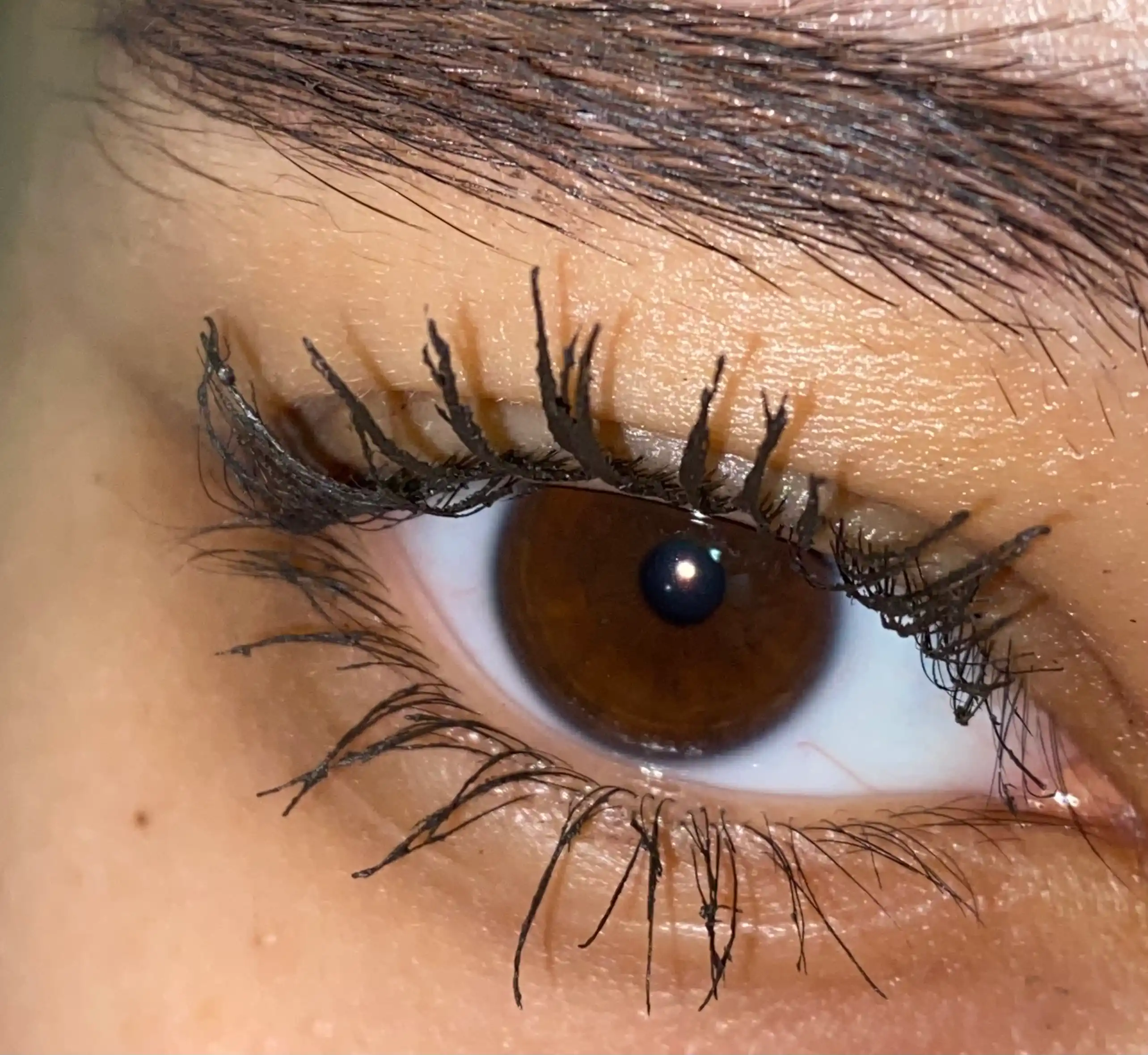Kipriklar uchun tush Volume Million Lashes Panorama, to'q-jigarrang