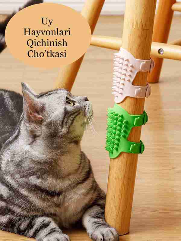 U jinsiy aloqa qilishni xohlamadi