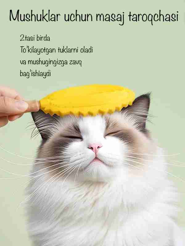 Kotib yashirin kamera