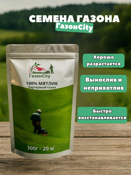 Gazon urug'lari, oyin maydonchalari va faol dam olish uchun maysa uruglari, 500 g - 