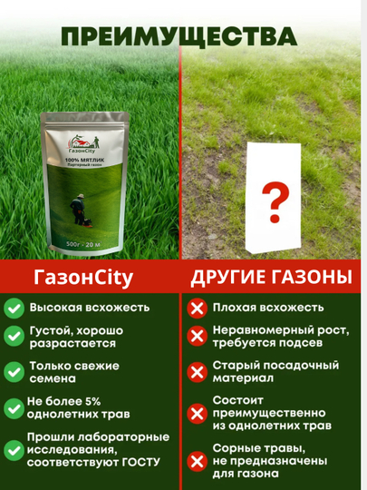 Gazon urug'lari, oyin maydonchalari va faol dam olish uchun maysa uruglari, 500 g