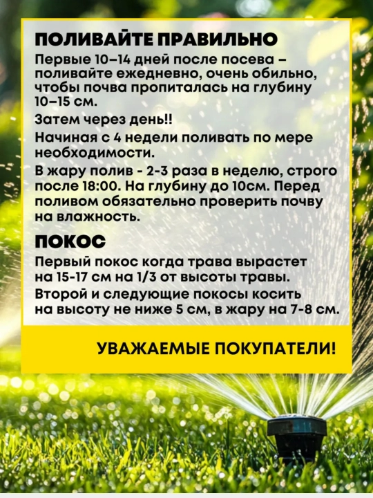 Oyin maydonchalari va faol dam olish uchun maysa uruglari, Gazon urug'lari, 500 g
