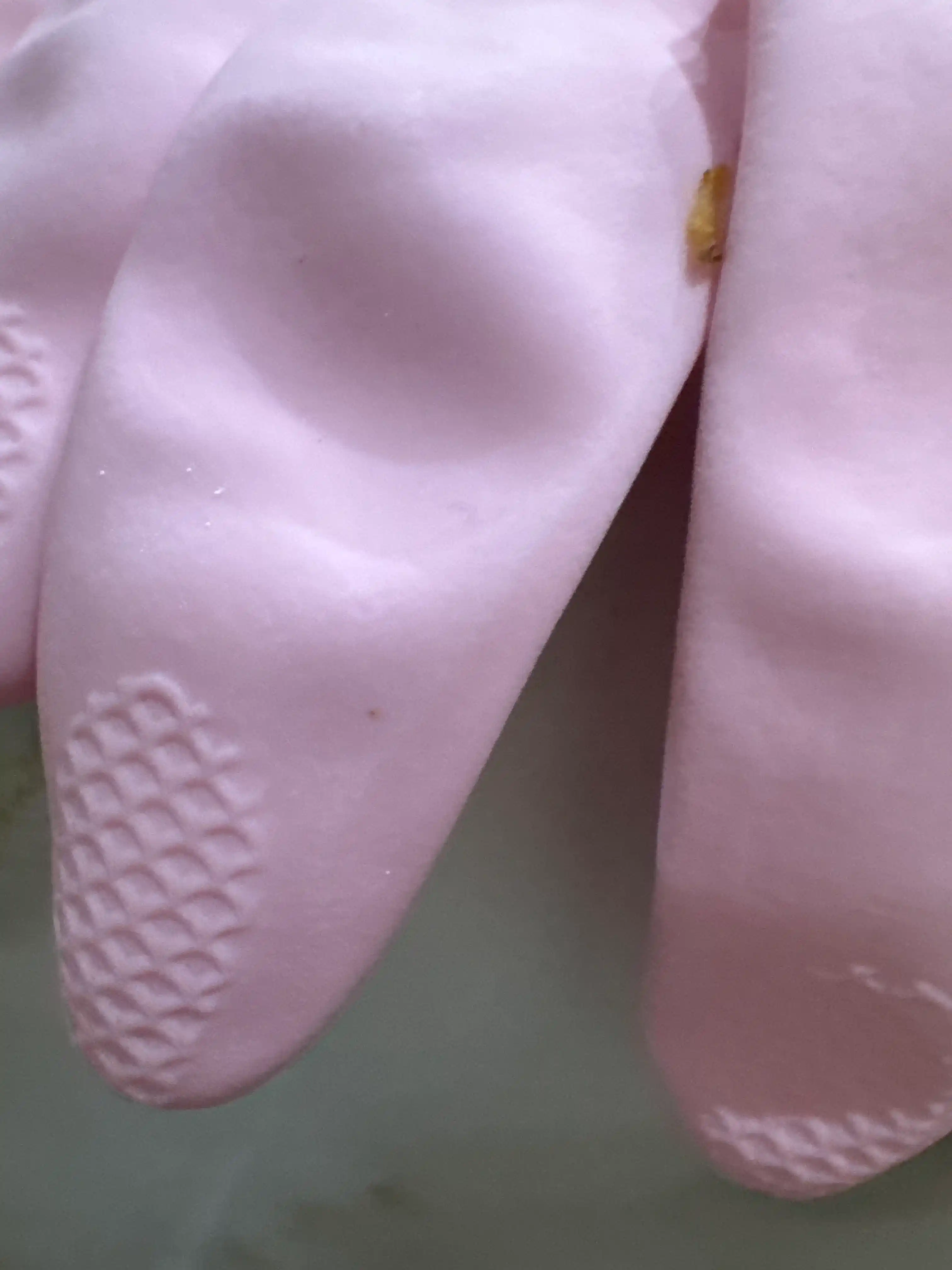 Vileda Sensitive Comfort Plus lateks qolqoplari, sezgir teri uchun, olcham M, 1 juft