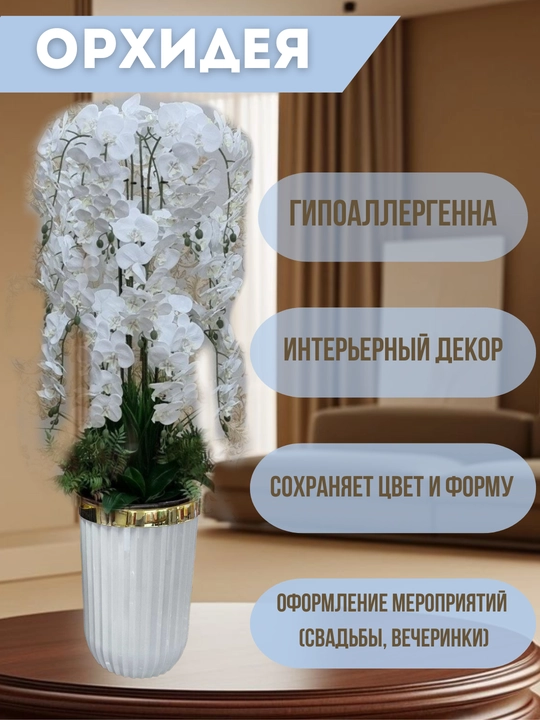 Suniy, manzarali orxideya