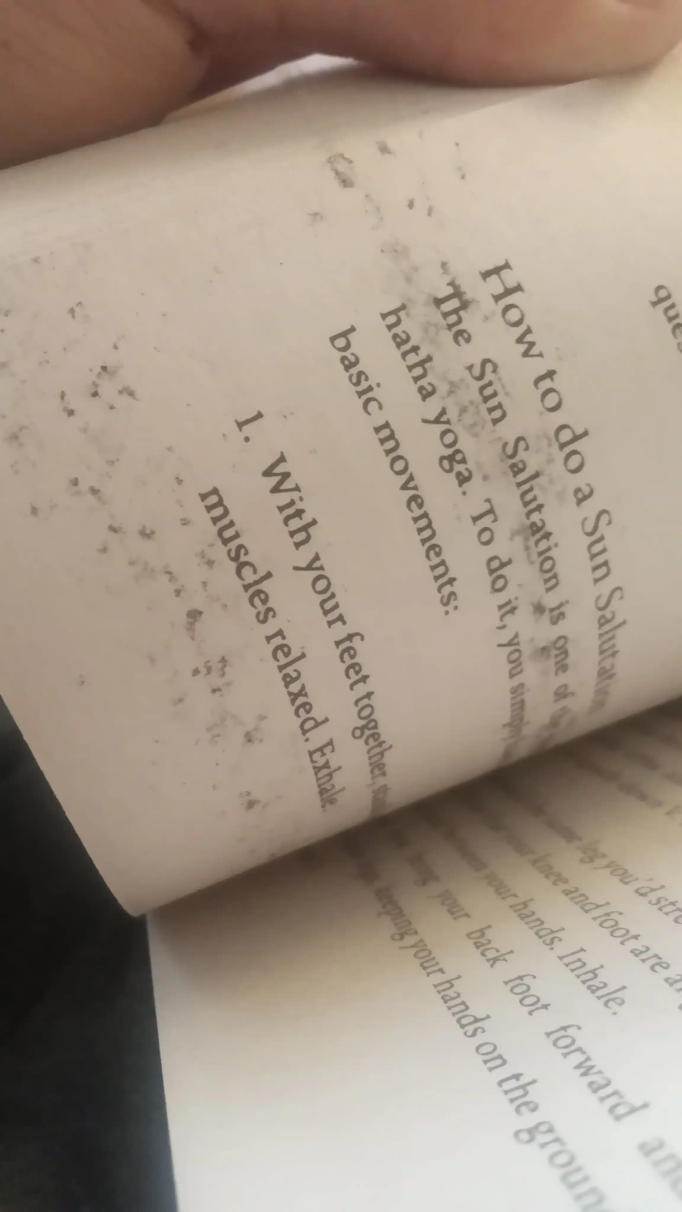 Ikigai - Hector Garcia and Francesc Miralles A5