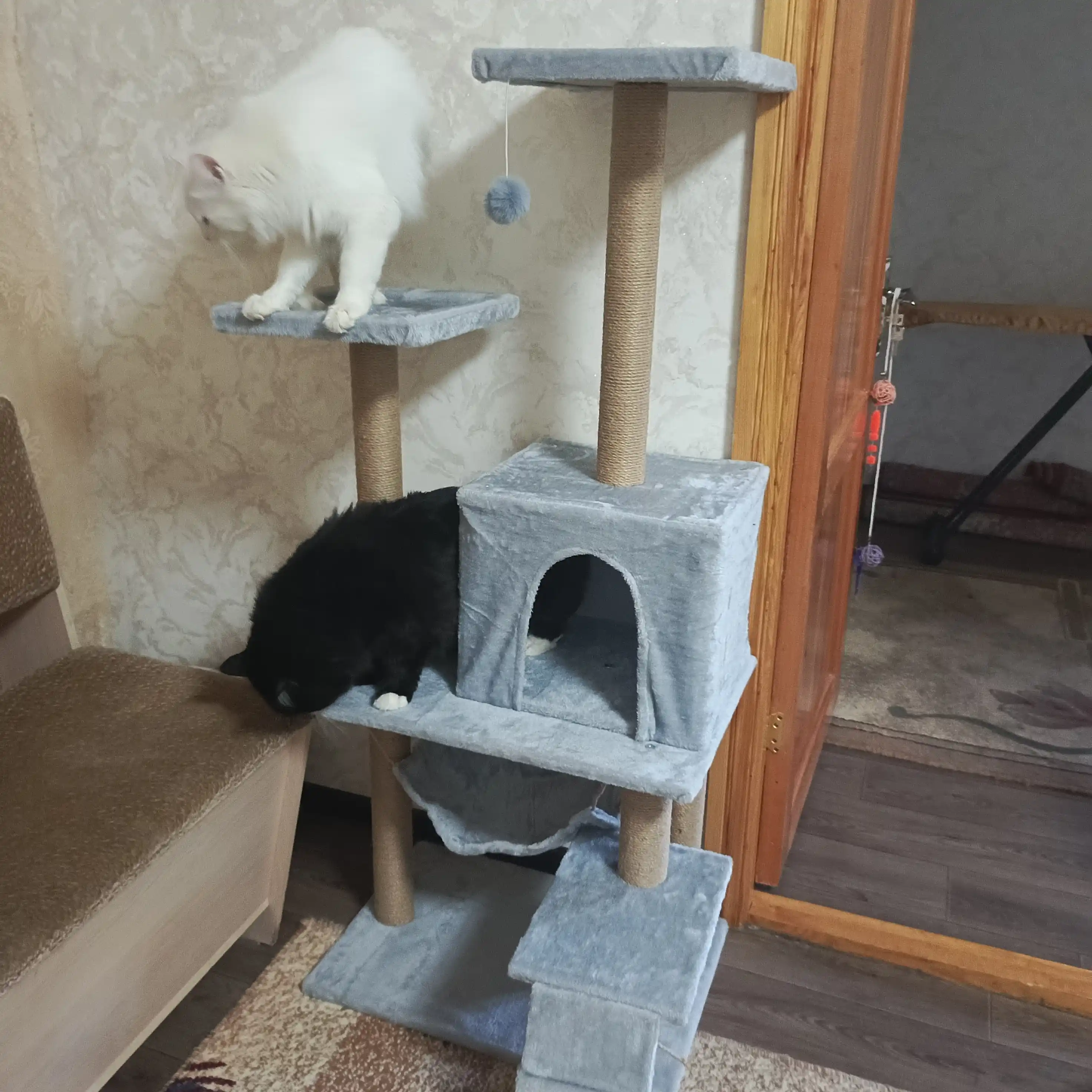 Mushuklar uchun ko'p qavatli tirnash xususiyati beruvchi uy kulrang У006-CN-062
