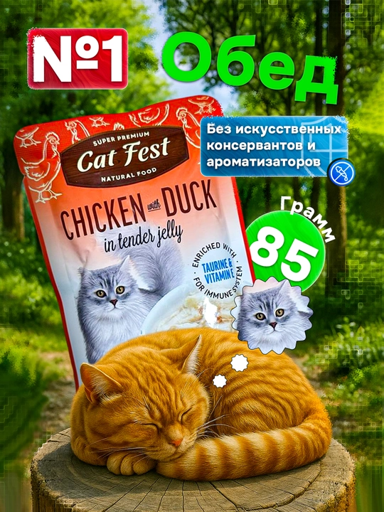 Влажный корм для кошек, "Super premiem CAT FEST natural food" 85г 3 шт