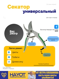 Зеленый