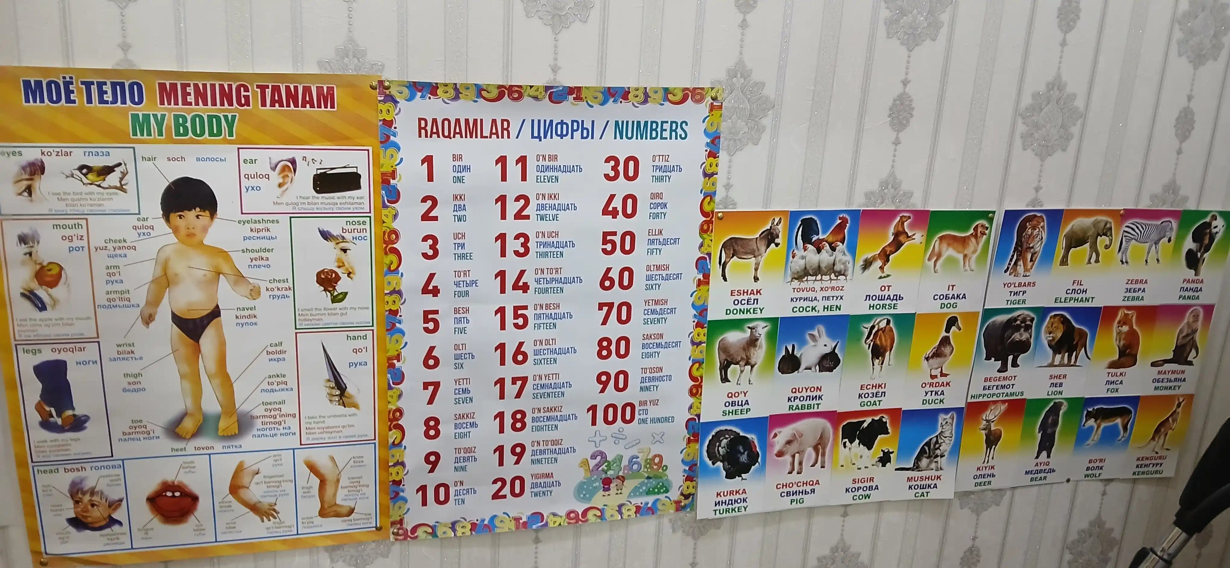 Плакат с алфавитом, животными, фруктами, овощами, для детей