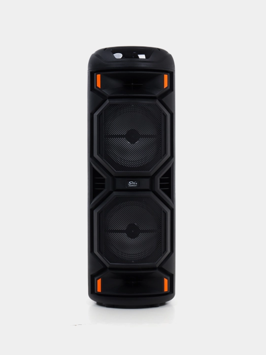Караоке колонка Sing-e ZQS-8221, ZQS-8301, ZQS-8302, ZQS-8220S, Bluetooth, RGB, с микрофоном и пультом 