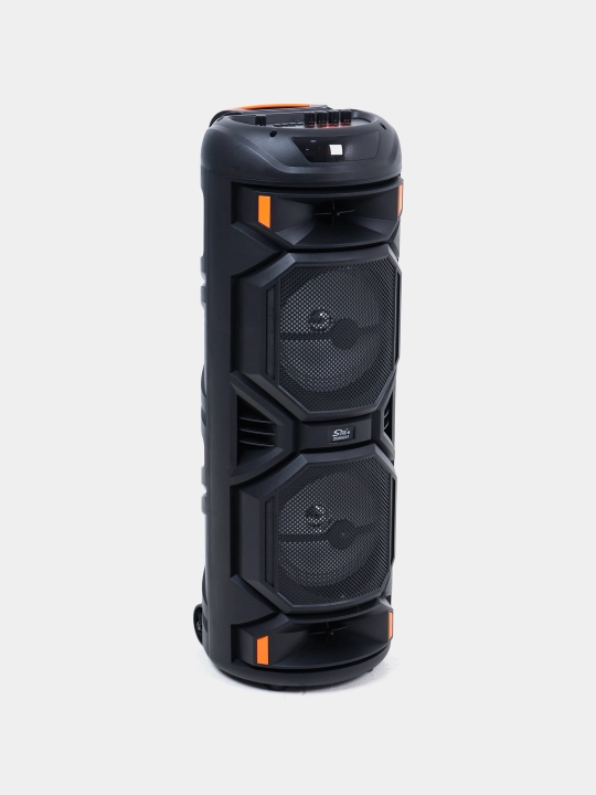 Караоке колонка Sing-e ZQS-8221, ZQS-8301, ZQS-8302, ZQS-8220S, Bluetooth, RGB, с микрофоном и пультом 