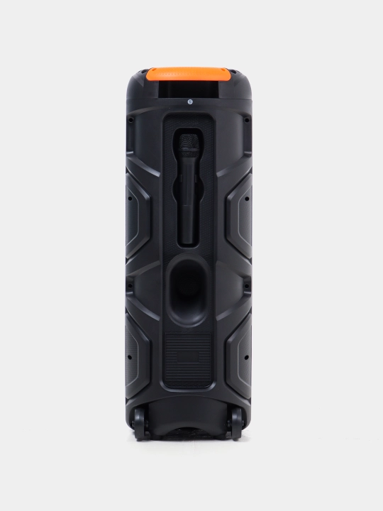 Караоке колонка Sing-e ZQS-8221, ZQS-8301, ZQS-8302, ZQS-8220S, Bluetooth, RGB, с микрофоном и пультом 