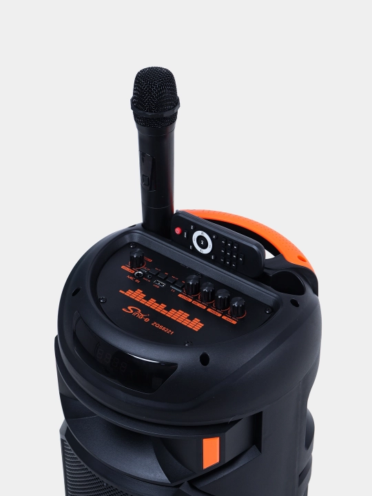 Караоке колонка Sing-e ZQS-8221, ZQS-8301, ZQS-8302, ZQS-8220S, Bluetooth, RGB, с микрофоном и пультом 