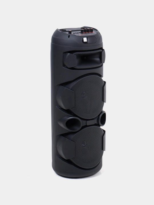 Караоке колонка Sing-e ZQS-8221, ZQS-8301, ZQS-8302, ZQS-8220S, Bluetooth, RGB, с микрофоном и пультом 