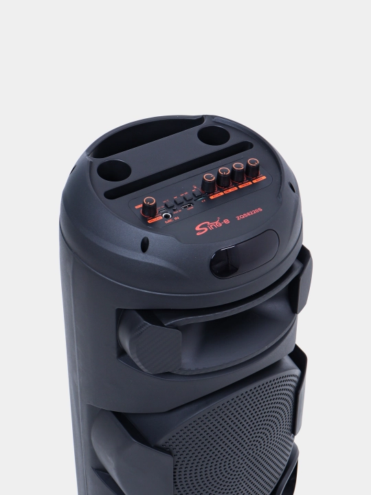 Караоке колонка Sing-e ZQS-8221, ZQS-8301, ZQS-8302, ZQS-8220S, Bluetooth, RGB, с микрофоном и пультом 
