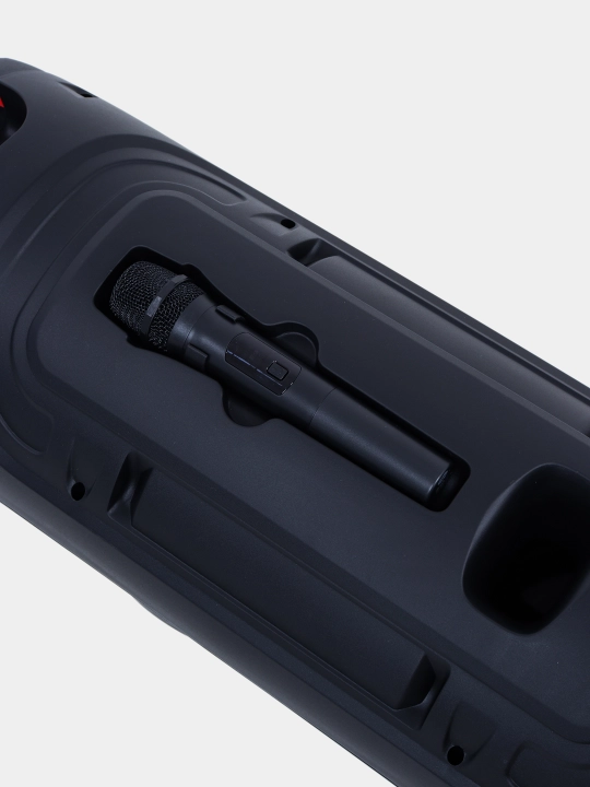 Караоке колонка Sing-e ZQS-8221, ZQS-8301, ZQS-8302, ZQS-8220S, Bluetooth, RGB, с микрофоном и пультом 