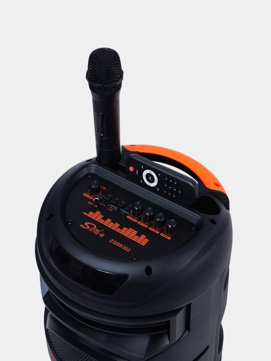 Караоке колонка Sing-e ZQS-8221, ZQS-8301, ZQS-8302, ZQS-8220S, Bluetooth, RGB, с микрофоном и пультом 