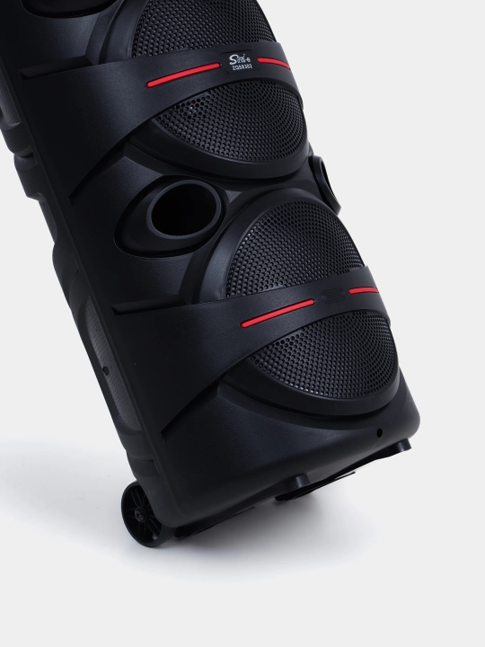 Караоке колонка Sing-e ZQS-8221, ZQS-8301, ZQS-8302, ZQS-8220S, Bluetooth, RGB, с микрофоном и пультом 