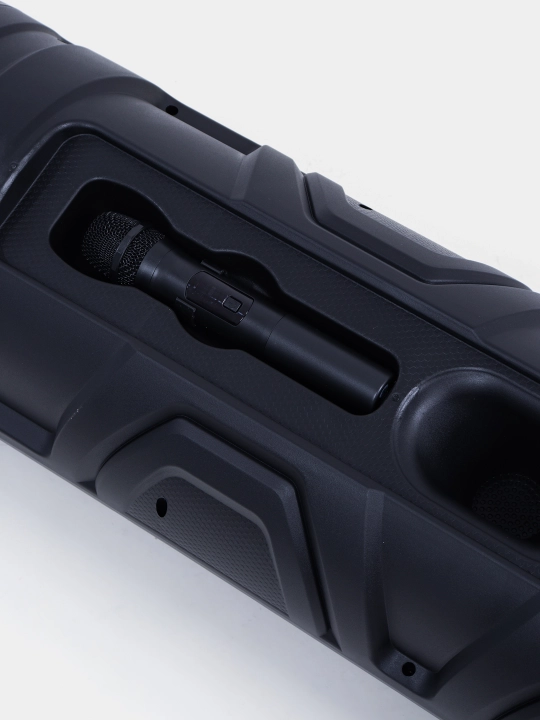 Караоке колонка Sing-e ZQS-8221, ZQS-8301, ZQS-8302, ZQS-8220S, Bluetooth, RGB, с микрофоном и пультом 