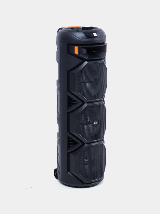 Караоке колонка Sing-e ZQS-8221, ZQS-8301, ZQS-8302, ZQS-8220S, Bluetooth, RGB, с микрофоном и пультом 