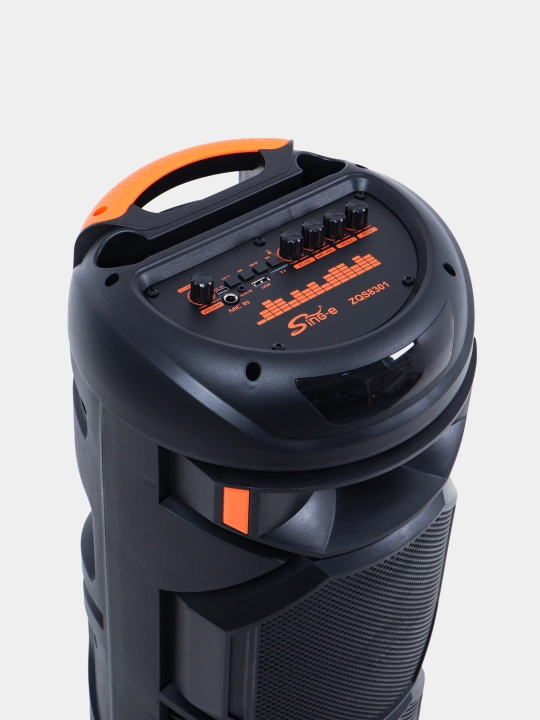 Караоке колонка Sing-e ZQS-8221, ZQS-8301, ZQS-8302, ZQS-8220S, Bluetooth, RGB, с микрофоном и пультом 