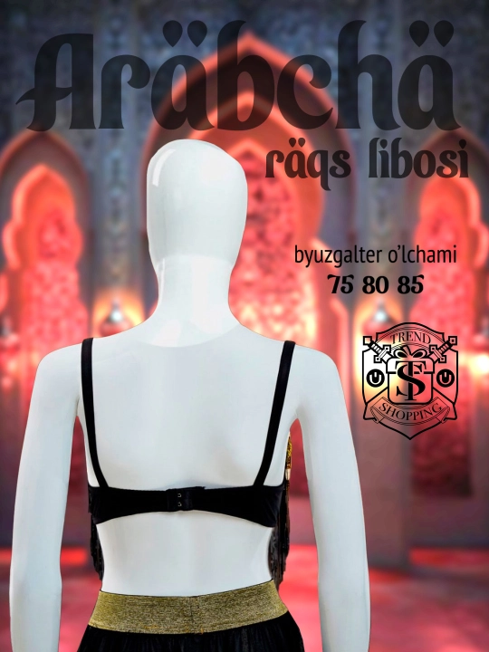 Arab raqs kostyumi, byustgalter bilan, push-up, karnaval, ayollar kostyumi