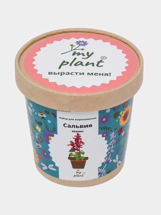 Happy Plants o‘simlik yetishtirish paketi - Gullarni o‘zingiz yetishtiring