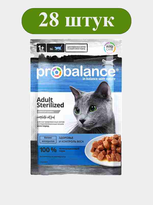 Kim porno livetv edi