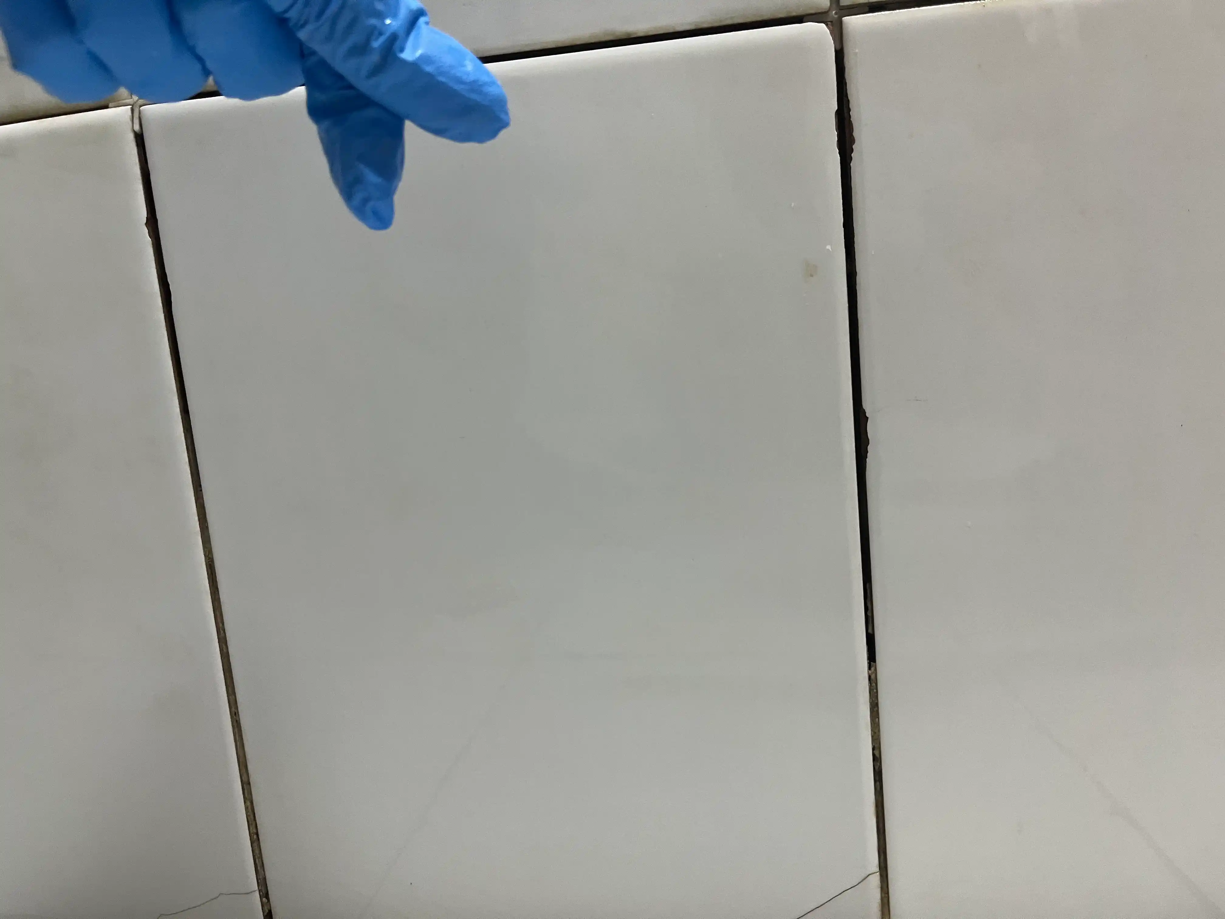 Kislorodli tozalovchi ECOTAB, uy uchun universal kislorodli oqartiruvchi, 100 g
