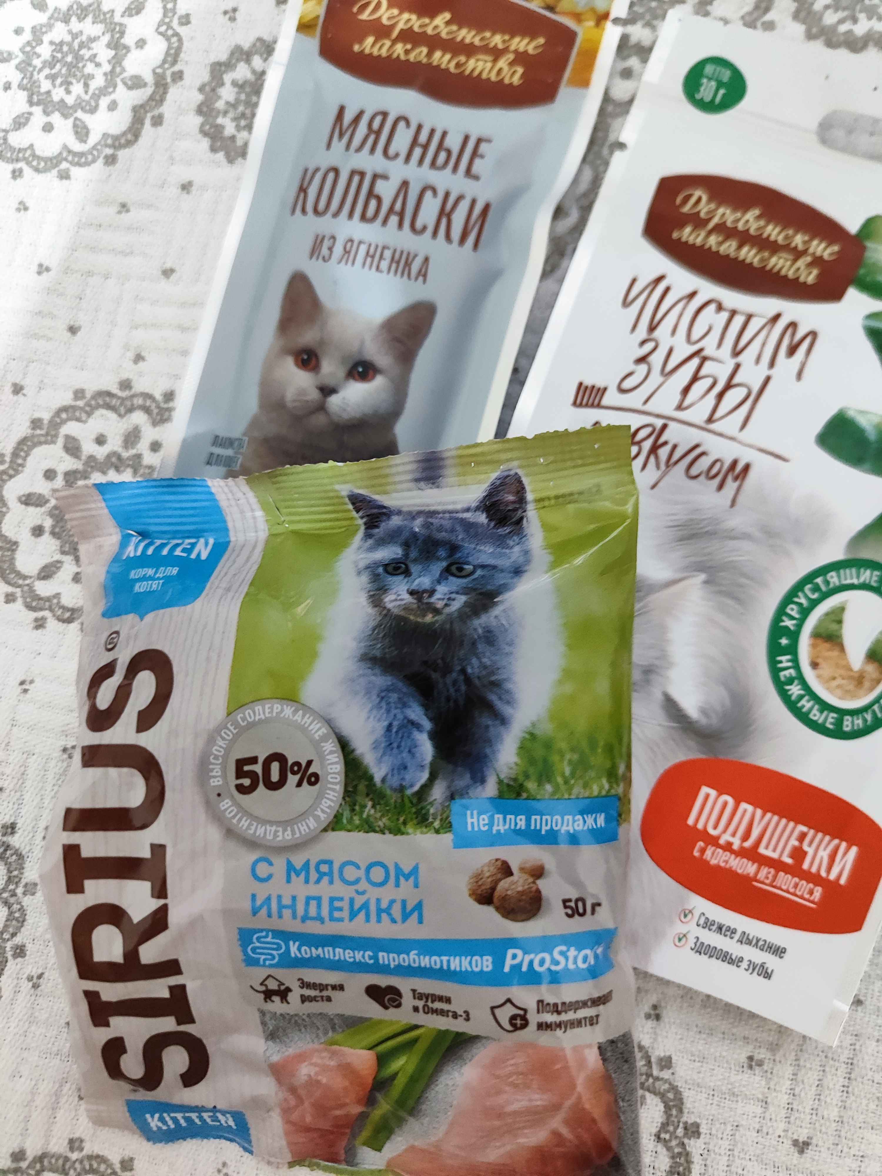 Katta tombul kokrak video