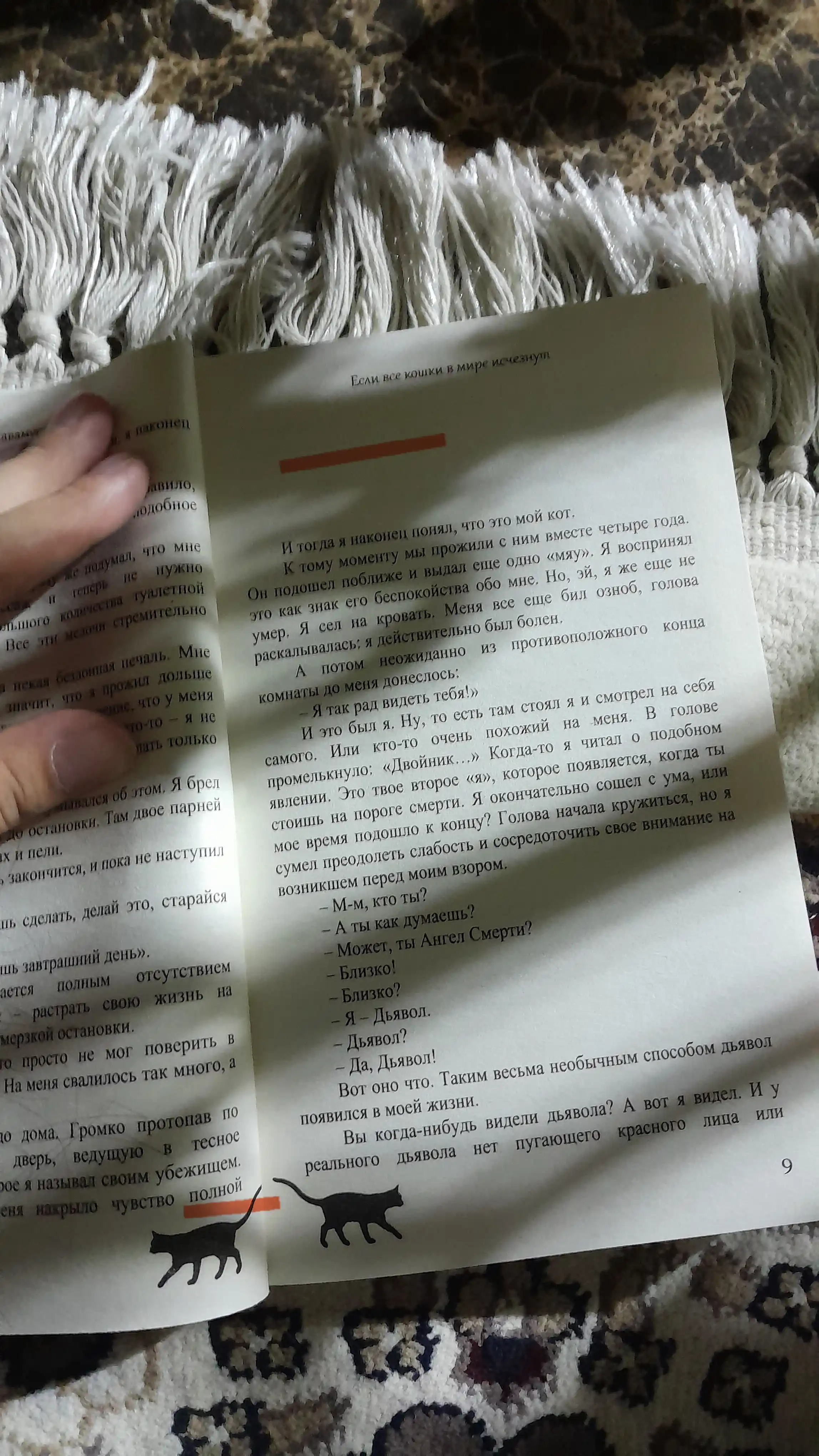 Если все кошки в мире исчезнут, Гэнки Кавамура