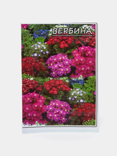 Семена цветов Ромашка, Гвоздика, Вербина, Астра, Арча гул, цветы однолетники — ПОСТЕР1-СЕМЦВ1-ЛАЙМ