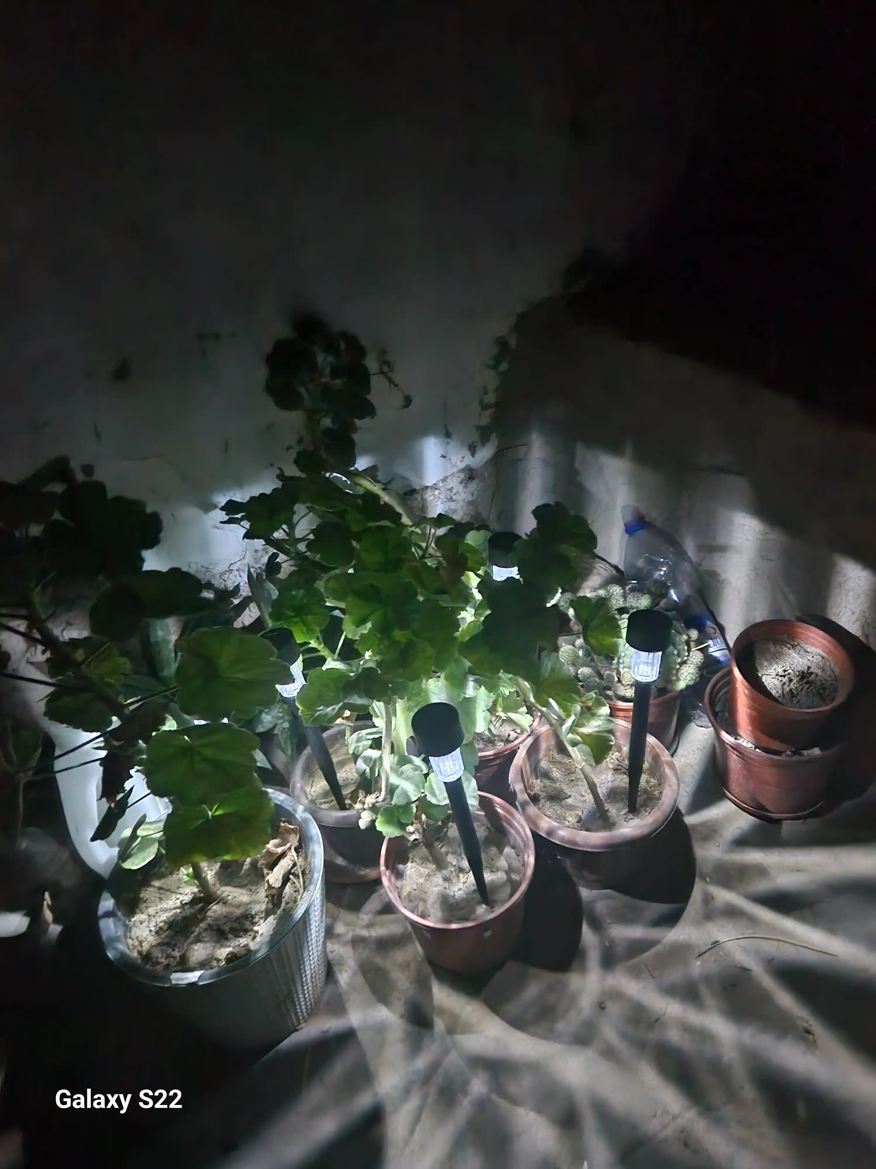 Bog' uchun quyosh energiyasi bilan ishlaydigan tashqi chiroq, 6 va 12 dona to'plam