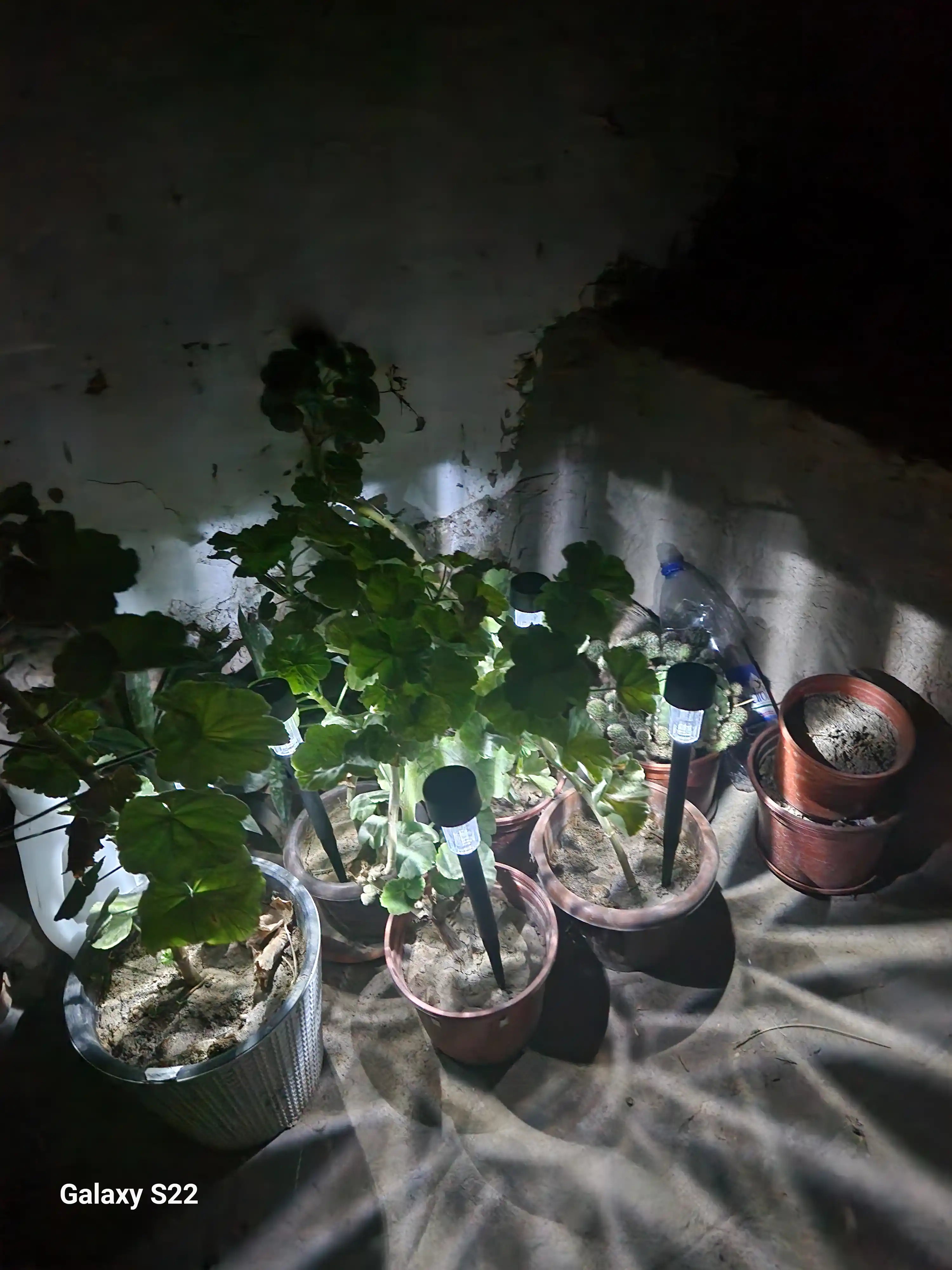 Bog' uchun quyosh energiyasi bilan ishlaydigan tashqi chiroq, 6 va 12 dona to'plam