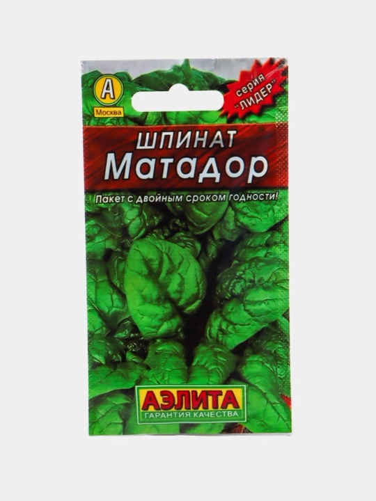 Ko‘katlar urug‘i, ismaloq - 