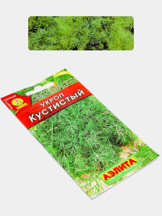 Семена овощей для сада и огорода: огурцы, помидоры, редис, кинза, щавель