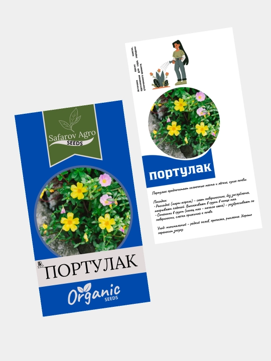 Gul urug'lari Cinniya, Portulak, Gvozdika, Kleoma, Georgina, Salviya