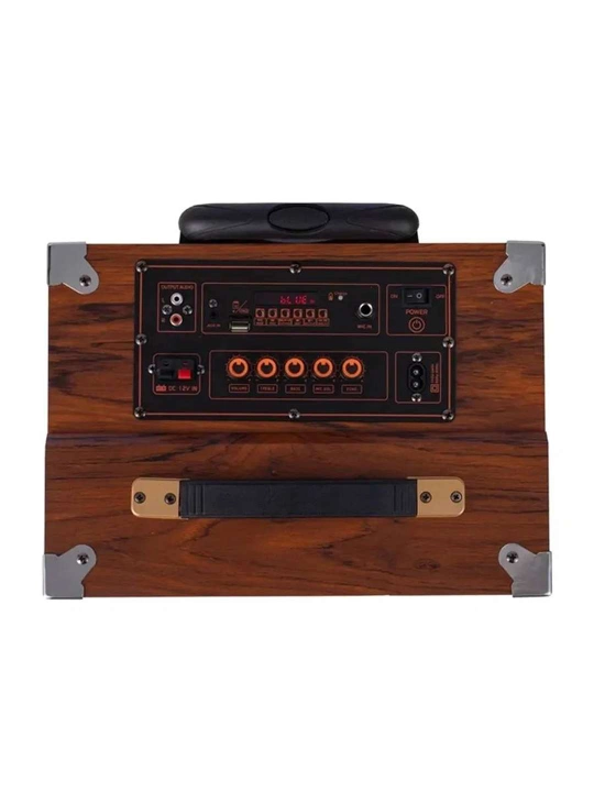 BAAB portativ karaoke Bluetooth karnay mikrofon va pult bilan